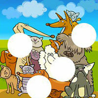 Match Missing Pieces